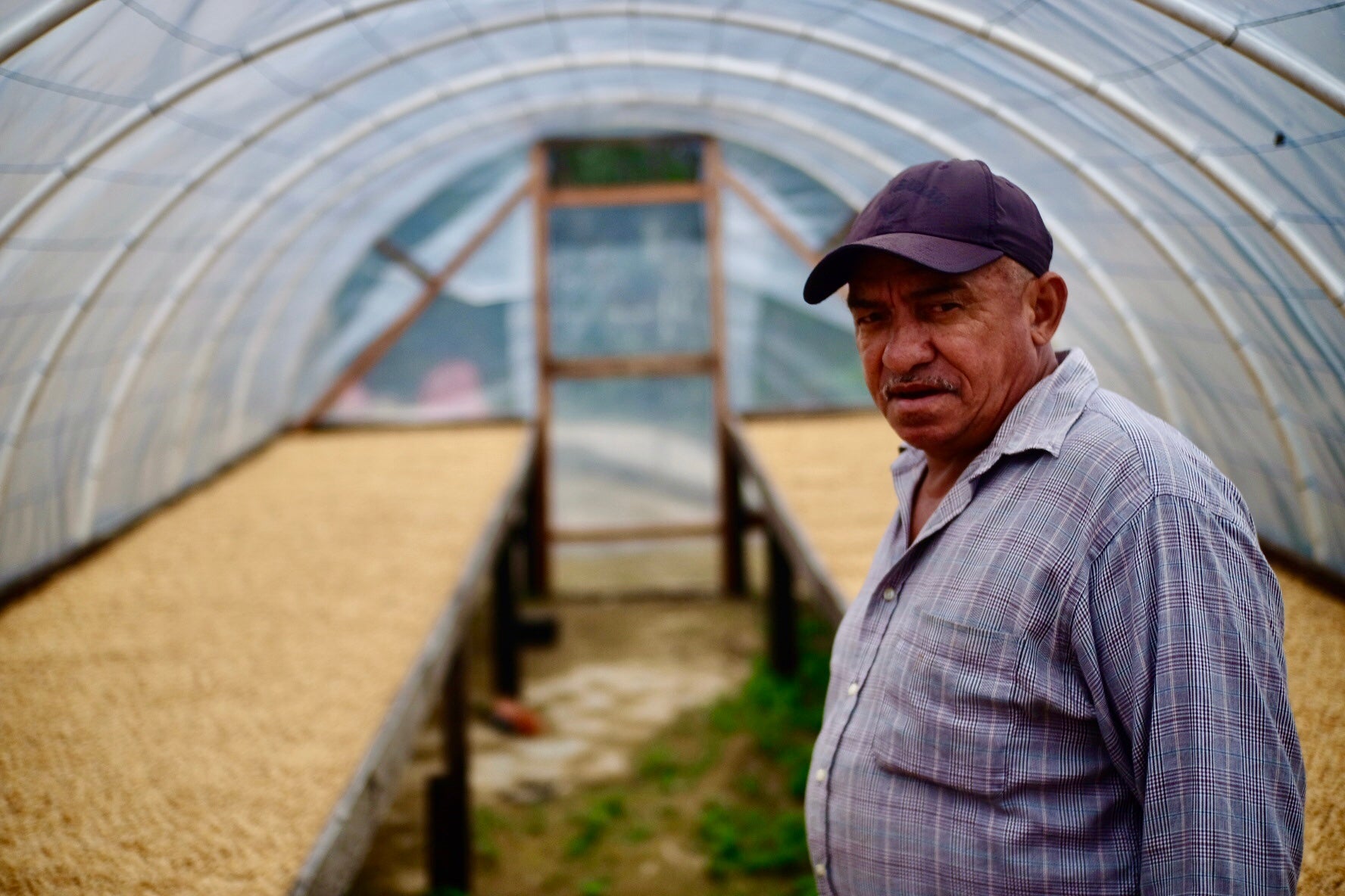 Asdruval Salinas Ground For Coffee Maker