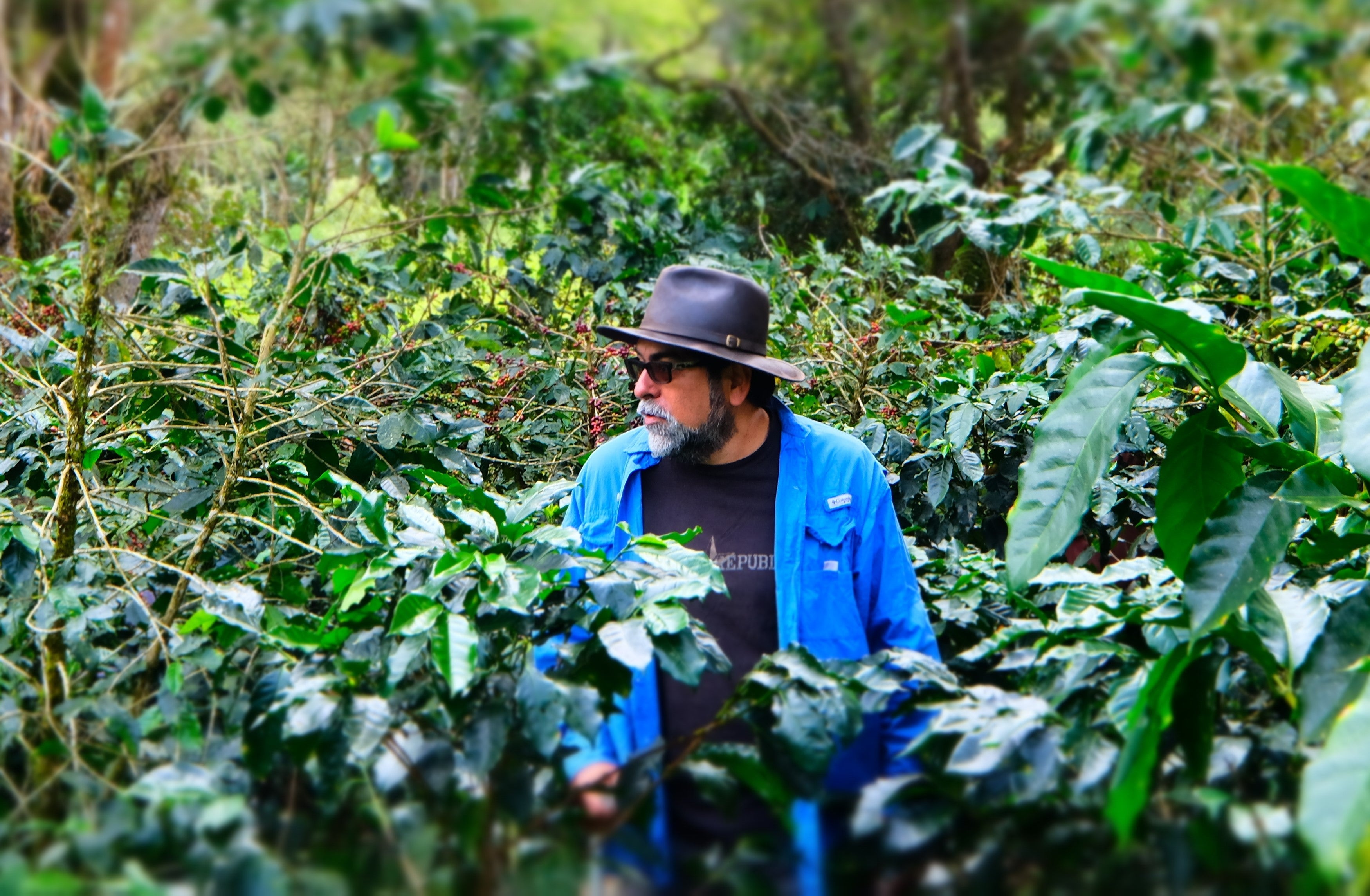 Roberto Aragon Parainema Ground For Coffee Maker