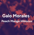 Galo Morales Geisha Honey