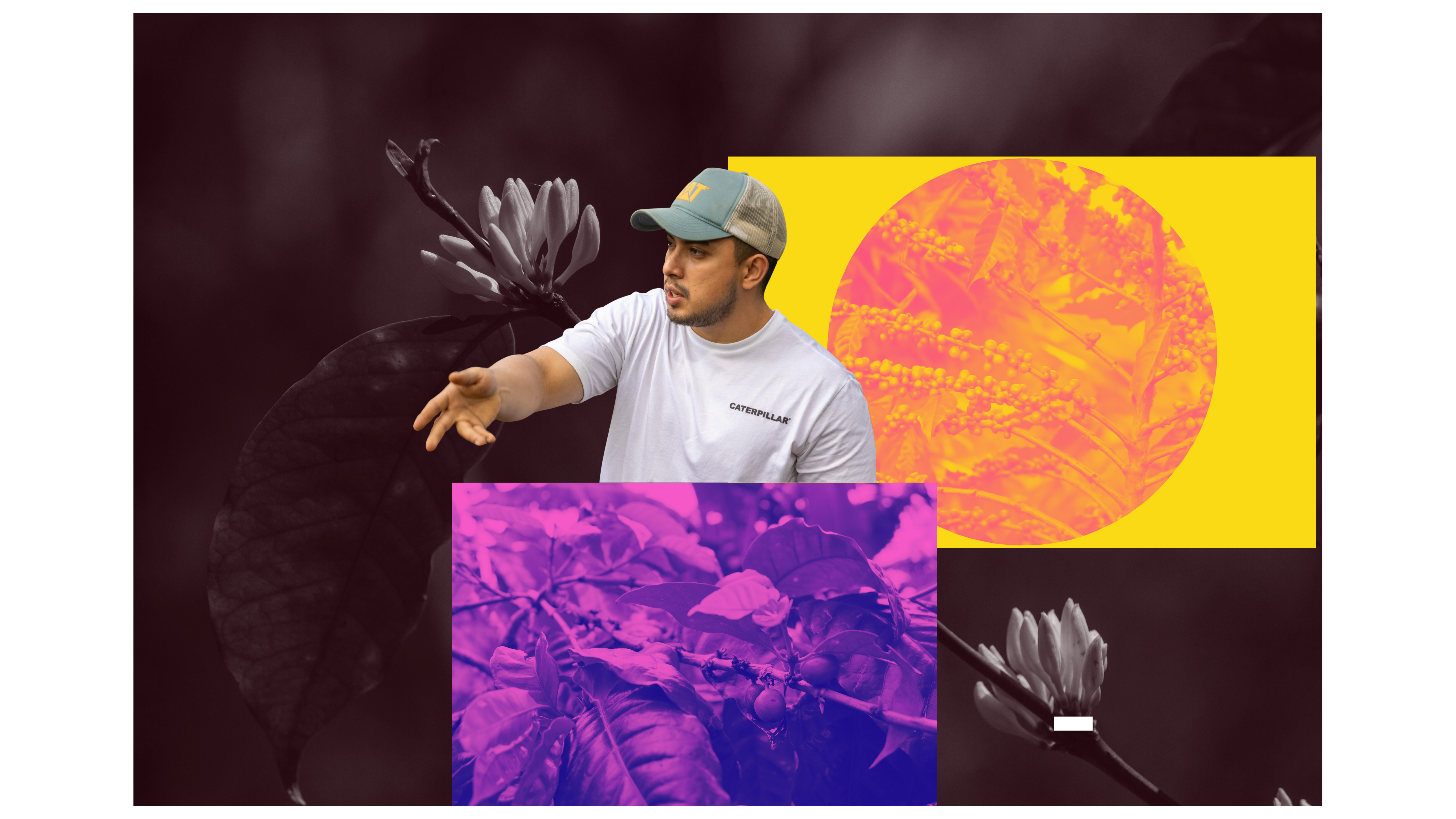 Fabio Caballero Jr. Java Washed