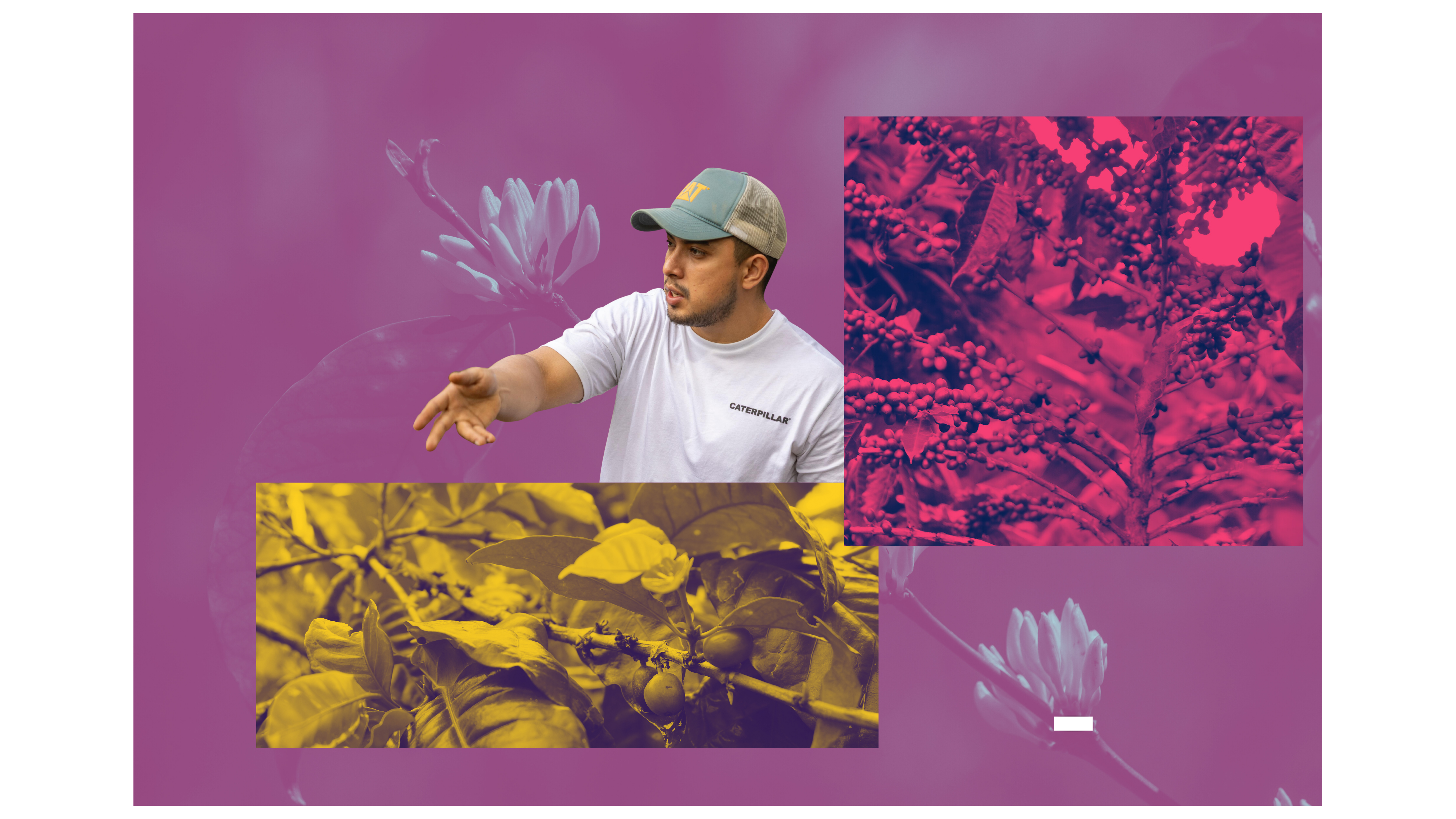 Fabio Caballero Jr. Geisha Natural